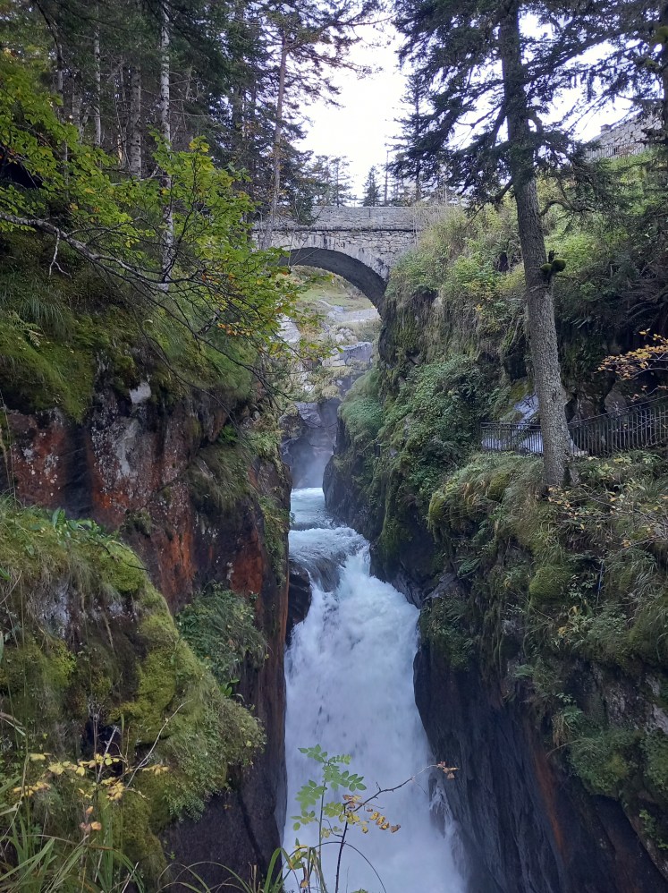 the fall