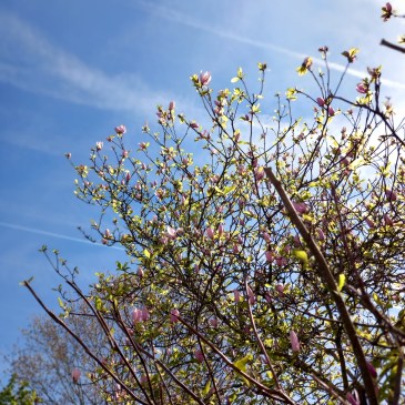 spring fatigue