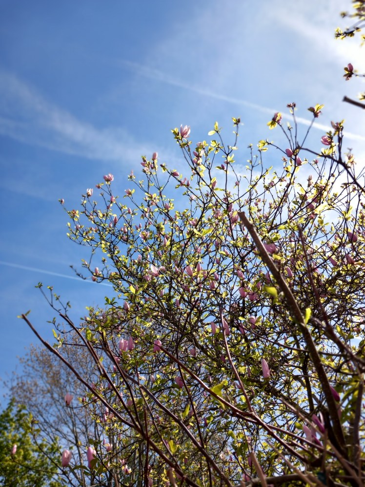 spring fatigue