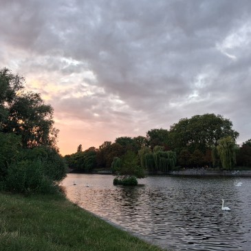 weeping willow eulogy