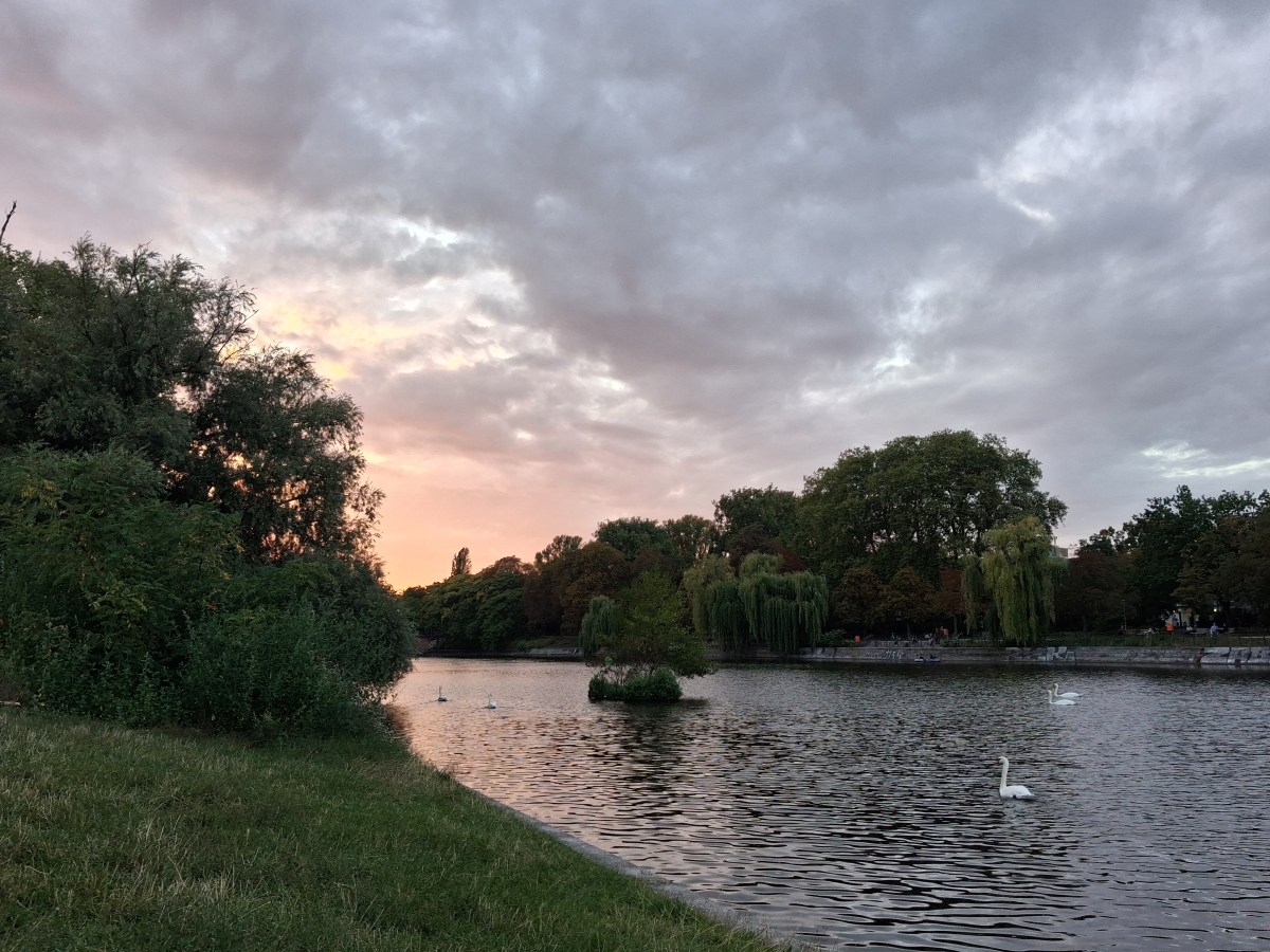 The willow weeps in my&nbsp;heart