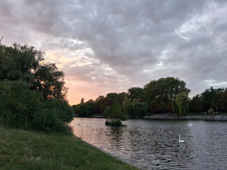 weeping willow eulogy